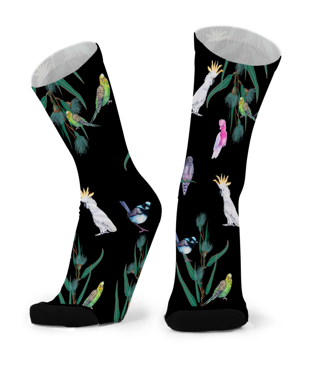 Aussie Aviary Socks