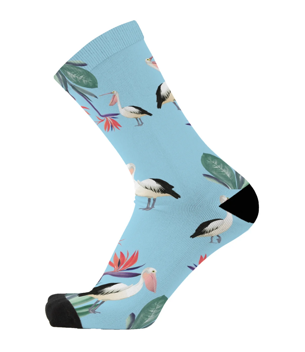 Paradise Pelican Socks