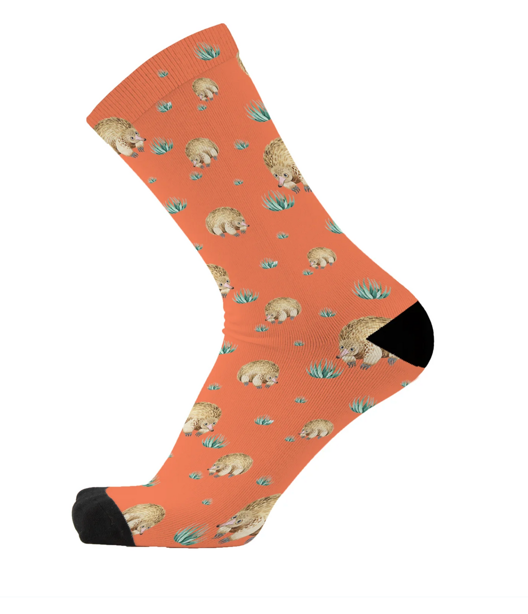 Charming Echidna Socks